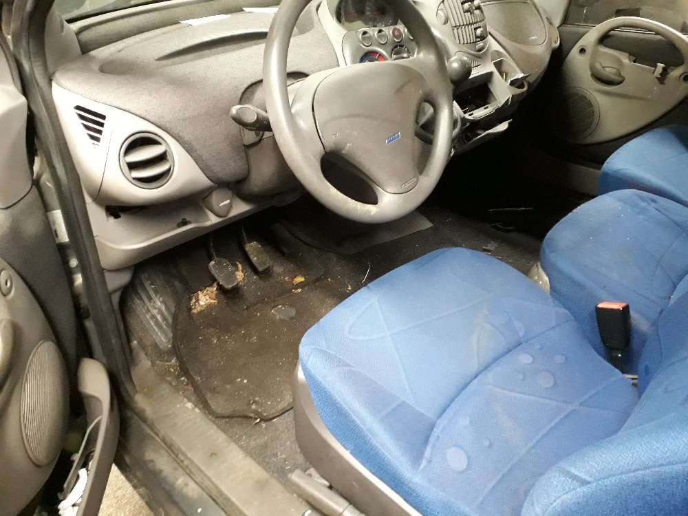 Multipla 2