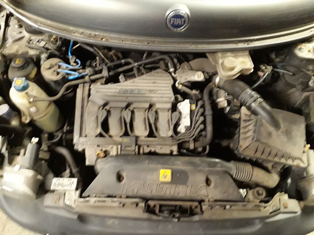 Multipla 5